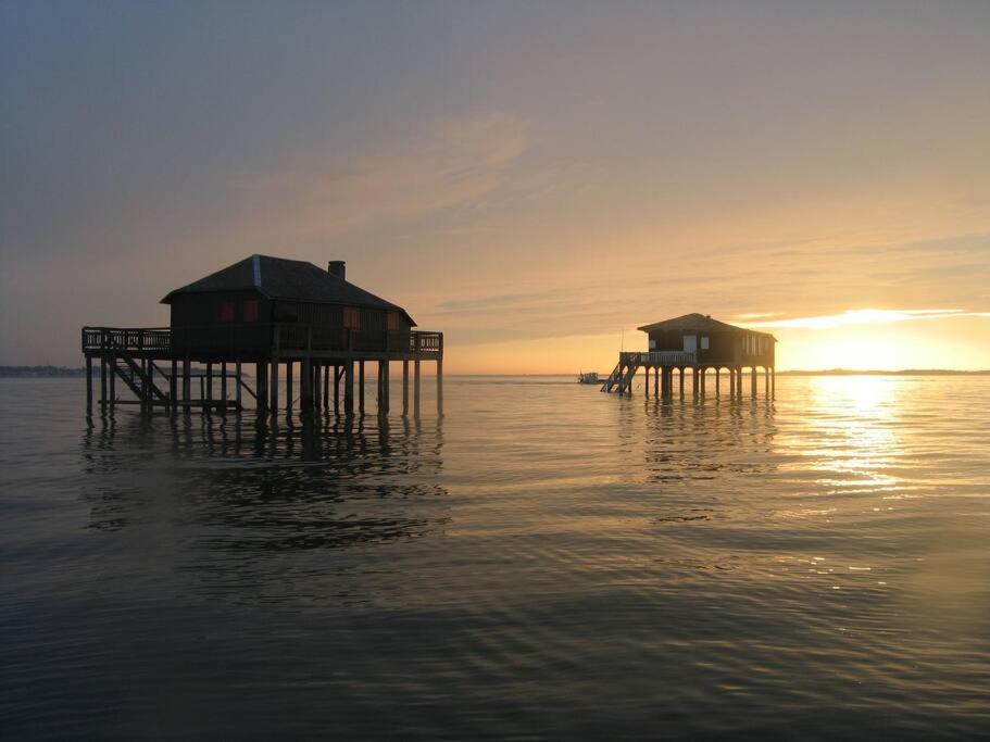Studio Douillet Proche Plage Arcachon Bagian luar foto